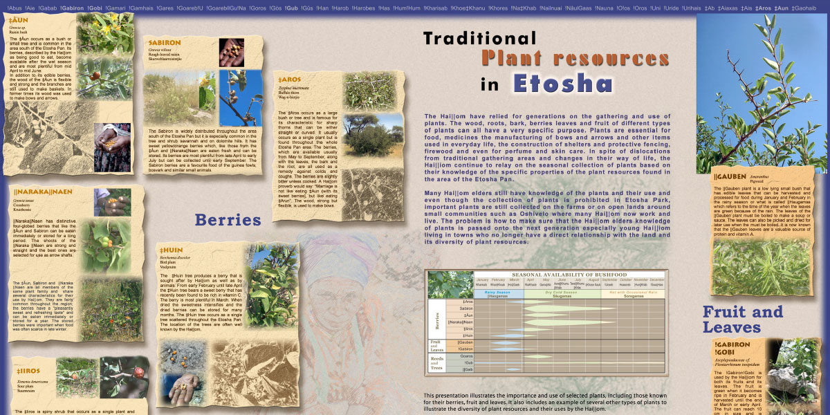 Etosha Fruits Leaves