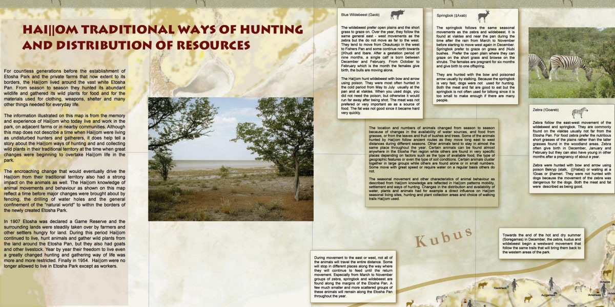 Etosha Hunting