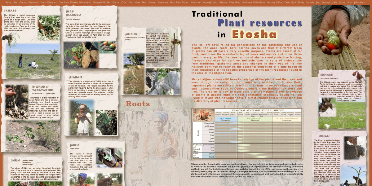 Etosha Roots Tubers