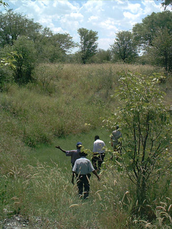 The site of the Tsînab well