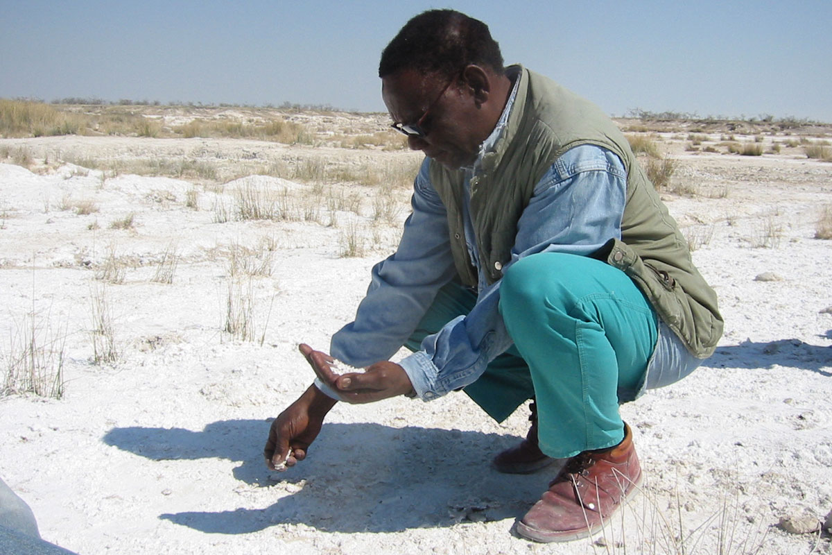 Kadisen Khumub collecting salt at ‡Gunub